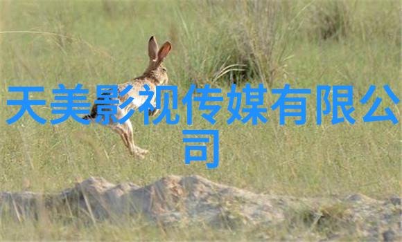 高晓松大武生票房欠佳 靠韩庚忽悠惨败