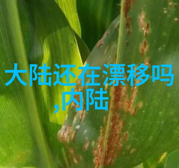 陈琪大胆炒作不怕后果 曾戏弄杨二车娜姆